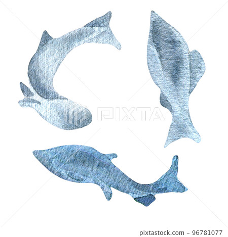 Sillhouettes salmon, trout watercolor illustration isolated on white background. Sillhouettes salmon, trout watercolor illustration isolated on white background. 96781077
