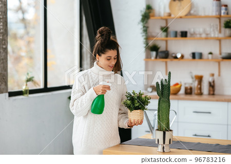 Woman spraying water on houseplants in flower pots by sprayer. Woman spraying water on houseplants in flower pots by sprayer. 96783216