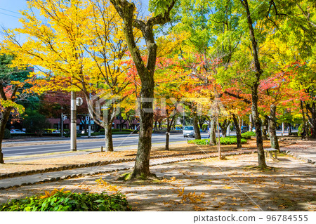 A view of Nishi-Hiroshima Station from near Fukushima Co-op Hospital on Peace Boulevard. It is a city landscape with autumn leaves. Hiroshima 96784555