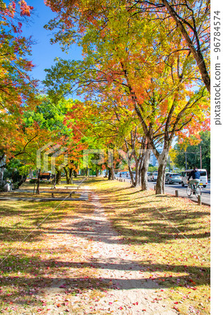 A view of the Peace Park area from the west end of the Nishi Heiwa Ohashi Bridge on Peace Boulevard. Please enjoy the autumnal scenery of the city. Hiroshima 96784574