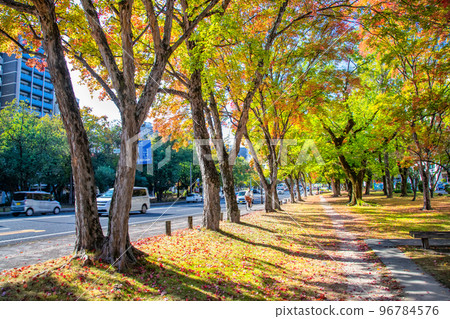 從和平大道西平和大橋西端眺望西廣島站。請欣賞城市的秋天景色。廣島 96784576