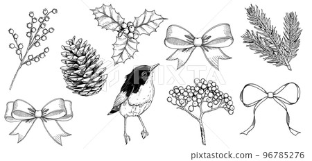 Christmas illustration material set. Vintage line art of winter plants and birds, ribbons and pine nuts. hand drawn vector Christmas illustration material set. Vintage line art of winter plants and birds, ribbons and pine nuts. hand drawn vector 96785276