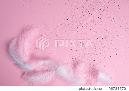Light feathers of pastel colors on a pink background. Copy space. Flat lay.A long banner for your design. Copy space. Flat lay. Light feathers of pastel colors on a pink background. Copy space. Flat lay.A long banner for your design. Copy space. Flat lay. 96785770