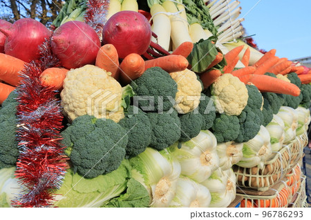 大豐收節 蔬菜大豐收 蔬菜堆 大豐收節 蔬菜大豐收 蔬菜堆 96786293