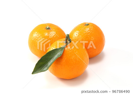 Orange Orange 96786490