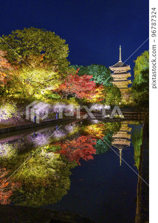 Night view of autumn leaves at Toji Temple in Kyoto (Kujo-cho, Minami-ku, Kyoto-shi, Kyoto) Night view of autumn leaves at Toji Temple in Kyoto (Kujo-cho, Minami-ku, Kyoto-shi, Kyoto) 96787324