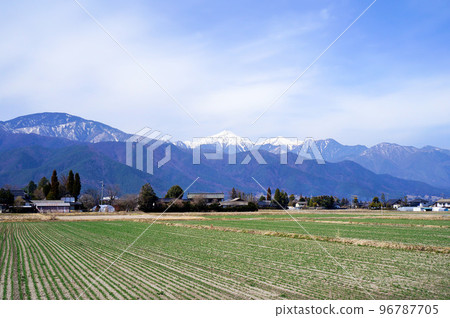 Northern Alps scenery seen from Matsumoto Basin (March) [Azumino City, Nagano Prefecture] 96787705