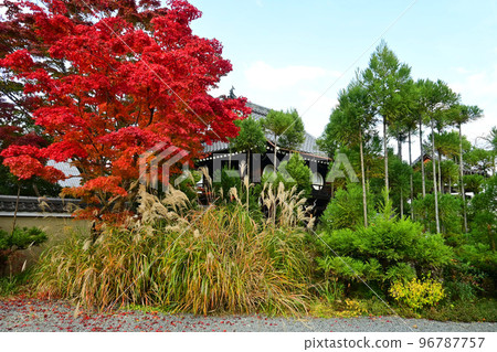 The temple gate of Genkoan in Kyoto City, which was visited in Kinshu, is beautiful The temple gate of Genkoan in Kyoto City, which was visited in Kinshu, is beautiful 96787757