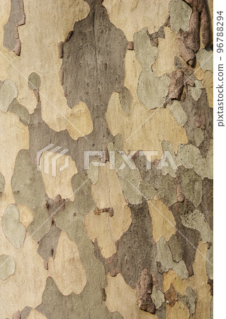 London plane 96788294