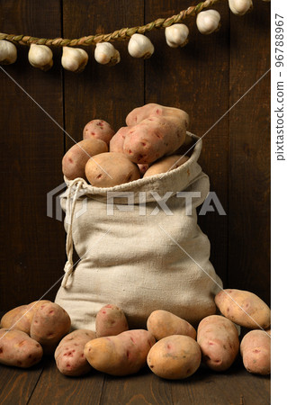 a bag full of potatoes and garlic bulbs, braided like a garland against a dark wood background a bag full of potatoes and garlic bulbs, braided like a garland against a dark wood background 96788967
