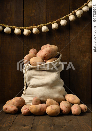 a bag full of potatoes and garlic bulbs, braided like a garland against a dark wood background a bag full of potatoes and garlic bulbs, braided like a garland against a dark wood background 96788968