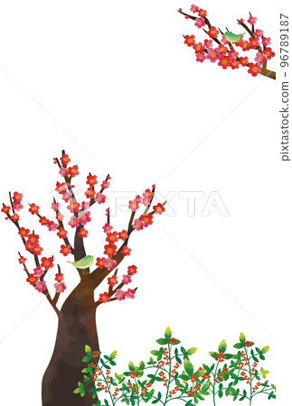 新年賀卡,水彩風格,梅花,夜鶯和南方天空,垂直背景,白色 新年賀卡,水彩風格,梅花,夜鶯和南方天空,垂直背景,白色 96789187