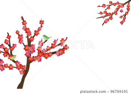 New Year's card, watercolor style, plum blossoms and nightingale New Year's card, watercolor style, plum blossoms and nightingale 96789191