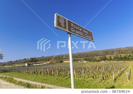 Wine road (Route des Grands Crus) near Beaune, Burgundy, France 96789634
