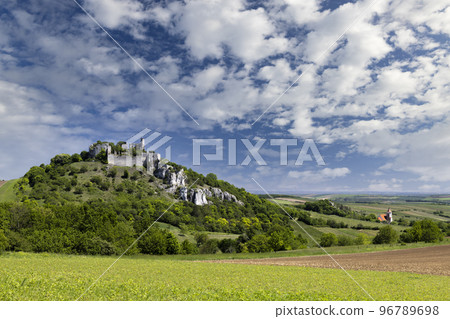Falkenstein ruins and town with vineyard, Lower Austria, Austria 96789698