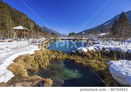winter landscape in Zelenci, Slovenia winter landscape in Zelenci, Slovenia 96789881