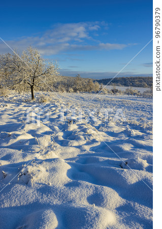 Landscape near Hnanice, NP Podyji, Southern Moravia, Czech Republic Landscape near Hnanice, NP Podyji, Southern Moravia, Czech Republic 96790379