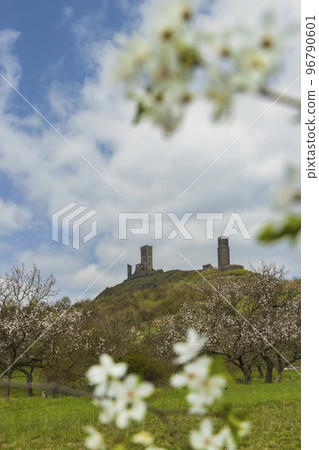 Ruins of Hazmburk Castle, Czech Republic Ruins of Hazmburk Castle, Czech Republic 96790601