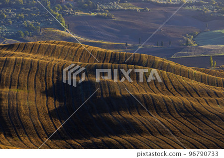 Typical Tuscan morning autumn landscape, Val D'Orcia, Tuscany, Italy Typical Tuscan morning autumn landscape, Val D'Orcia, Tuscany, Italy 96790733