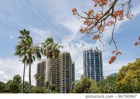 Views of multi-storey condos from below with trees at Miami, Florida Views of multi-storey condos from below with trees at Miami, Florida 96790967