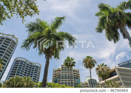 Views of palm trees at the front of modern multi-storey modern residential buildings at Miami, Florida 96790969