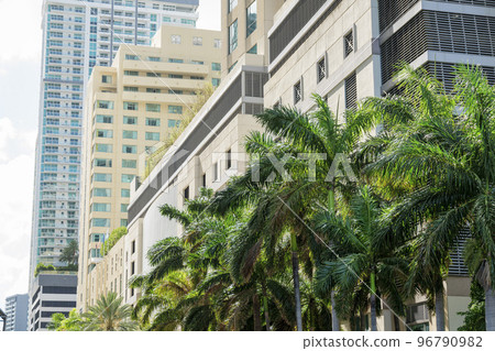 Rows of modern multi-storey buildings with palm trees at the front in Miami, Florida 96790982