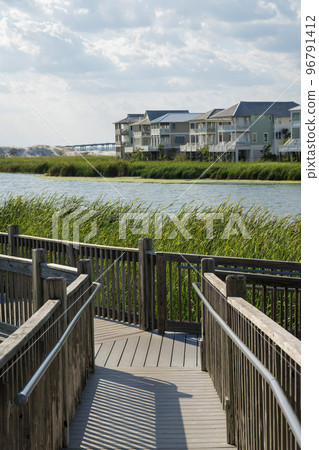 Destin, Florida- Boardwalk trail with crossroads near the tall grasses in a lake 96791412