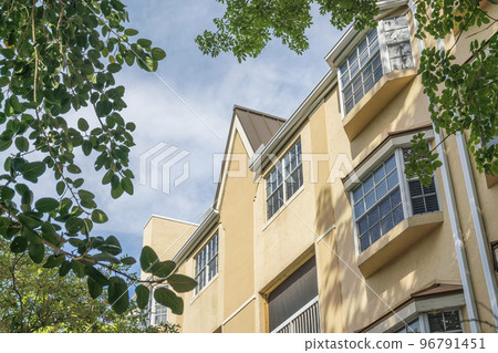 Views of tree leaves and residential building from below at Miami, Florida 96791451