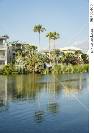 Reflective lake water view with grasses and palm trees near the houses at Destin, Florida 96791469