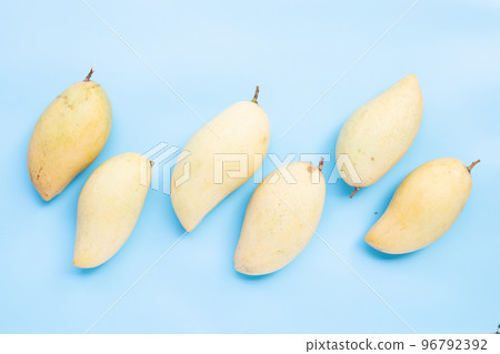 Tropical fruit, Mango on white background. Tropical fruit, Mango on white background. 96792392