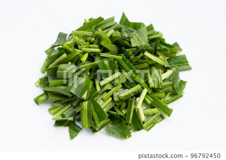 Culantro or sawtooth coriander on white background. Culantro or sawtooth coriander on white background. 96792450