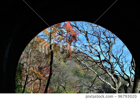 Autumn leaves of the Aiki tunnel group 96793020