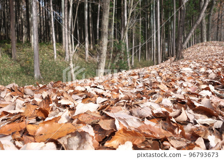 View of Mt. Haruna Hiking Course in Utsunomiya City View of Mt. Haruna Hiking Course in Utsunomiya City 96793673