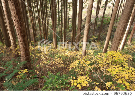 宇都宮市榛名山遠足路線一覽 96793680