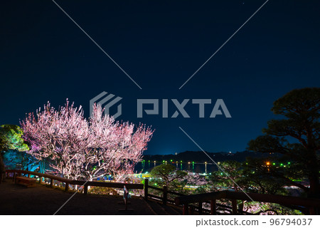 偕樂園和千波湖_水戶梅花節_燈光夜景（茨城縣水戶市） 96794037