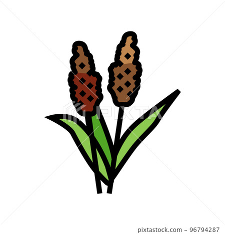 sorghum plant food color icon vector illustration 96794287