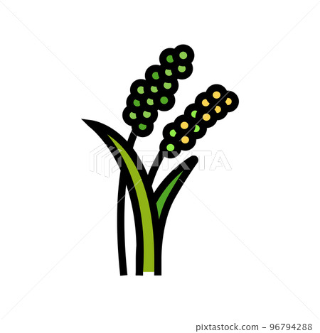 millet plant food color icon vector illustration 96794288