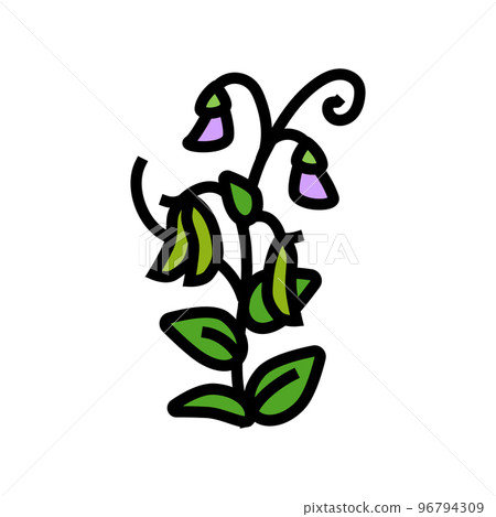 pea plant healthy color icon vector illustration 96794309