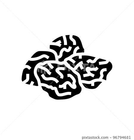 plum dried fruit glyph icon vector illustration plum dried fruit glyph icon vector illustration 96794681