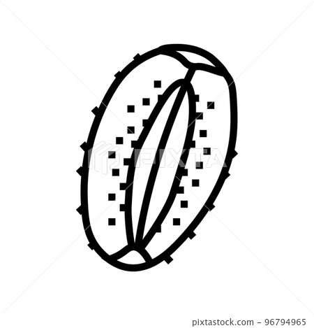 cut fruit kiwi line icon vector illustration 96794965
