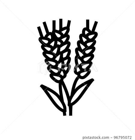 ear barley harvest line icon vector illustration 96795072