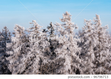Winter landscape with frozen trees and blue sky 96796713