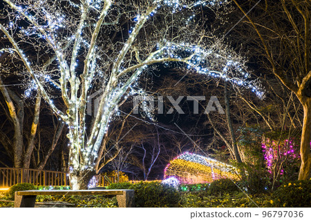 冬季燈飾 Shibata Fantasy Illumination2022 宮城縣柴田町 96797036