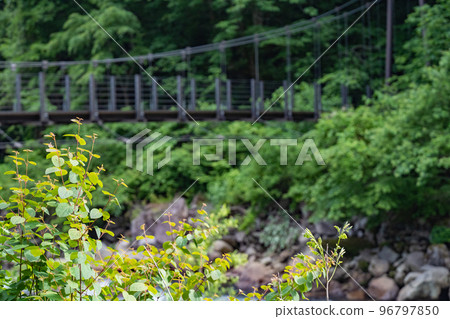 Suspension bridge leading to Naena Falls 96797850