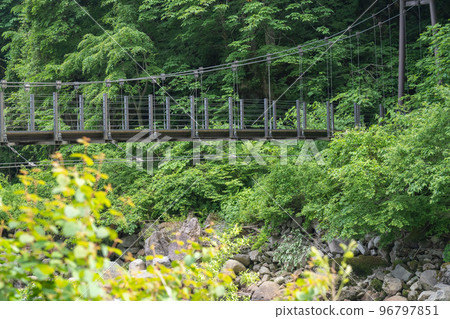 Suspension bridge leading to Naena Falls 96797851