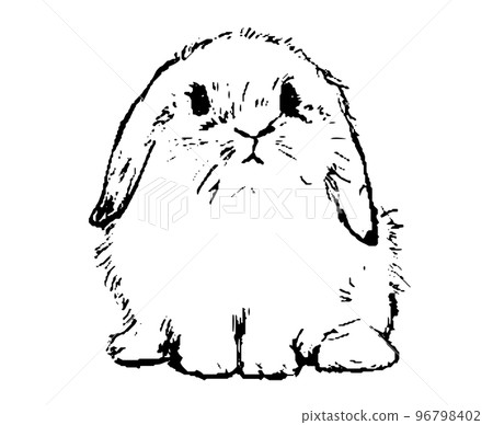 黑白手繪素描風格兔子插圖 黑白手繪素描風格兔子插圖 96798402