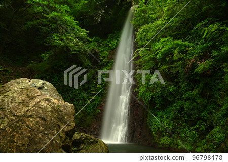 綠色楓樹和瀑布 96798478