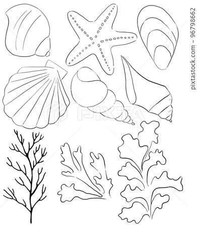 Seashells, starfish, seaweeds and corals made of black outlines, single elements for beach wedding Illustration, clipart Seashells, starfish, seaweeds and corals made of black outlines, single elements for beach wedding Illustration, clipart 96798662
