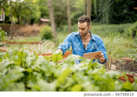 Farmer with digital tablet work at vegetable garden 96799019