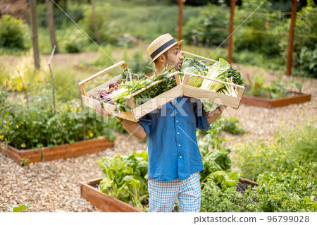 Farmer with freshly picked vegetables at farmland Farmer with freshly picked vegetables at farmland 96799028